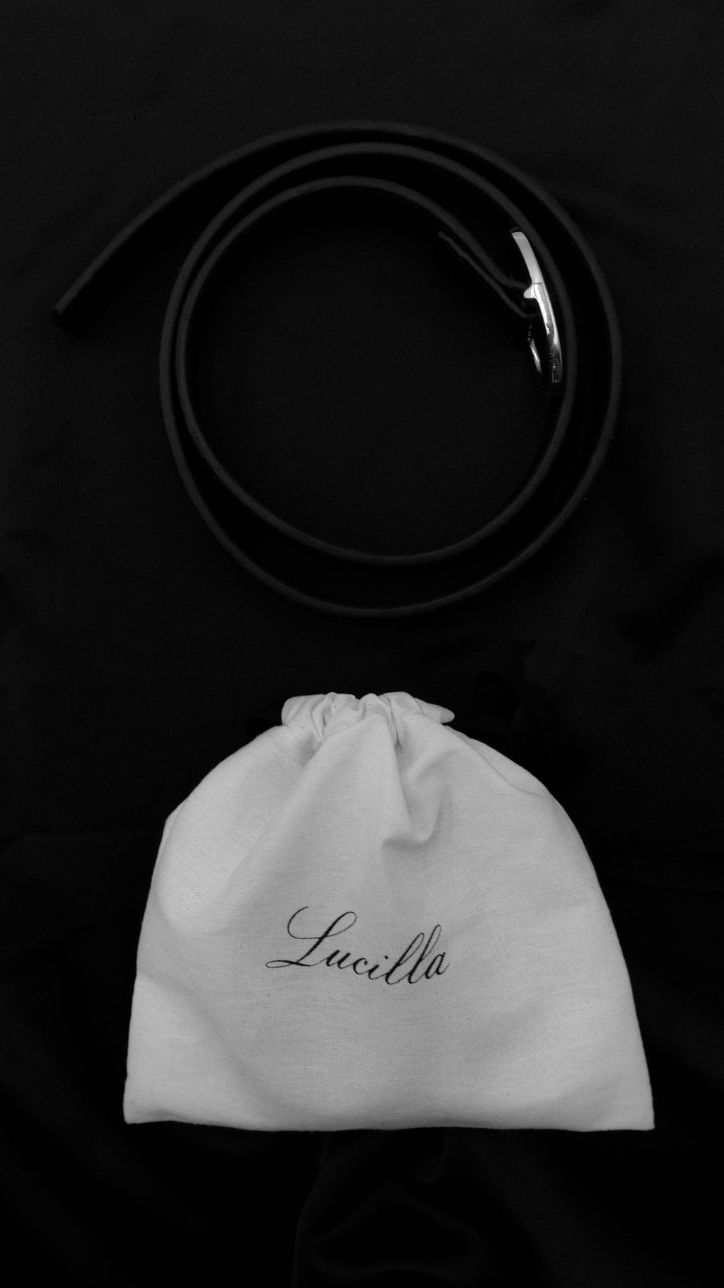 Luci | Black Croc & Silver